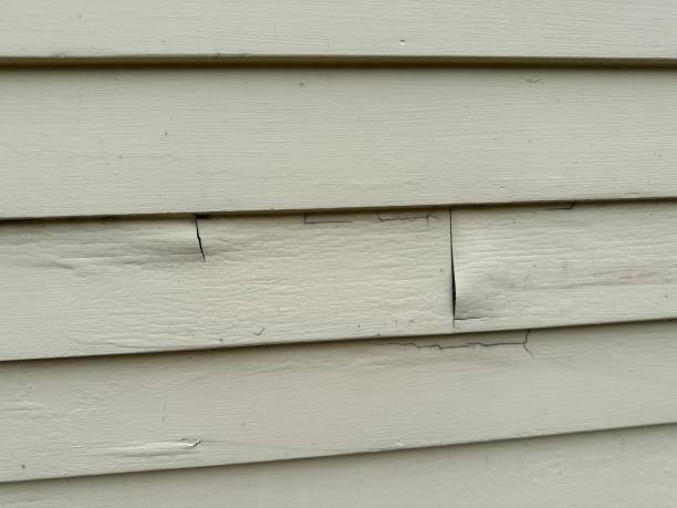 Best Siding Painting and Refinishing  in Searingtown, NY